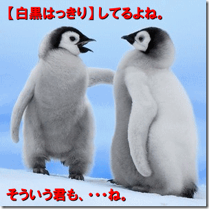 ペンギンアップデート「白黒はっきり」